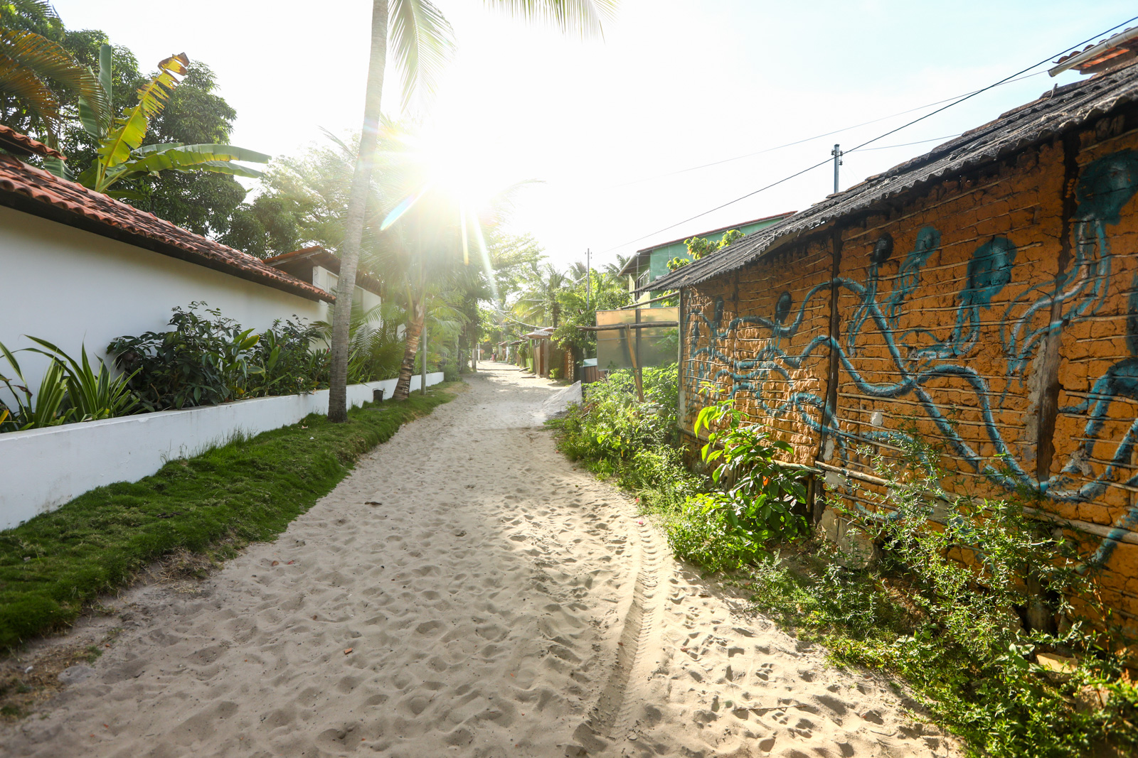 Imagem de Ilha de Boipeba 3